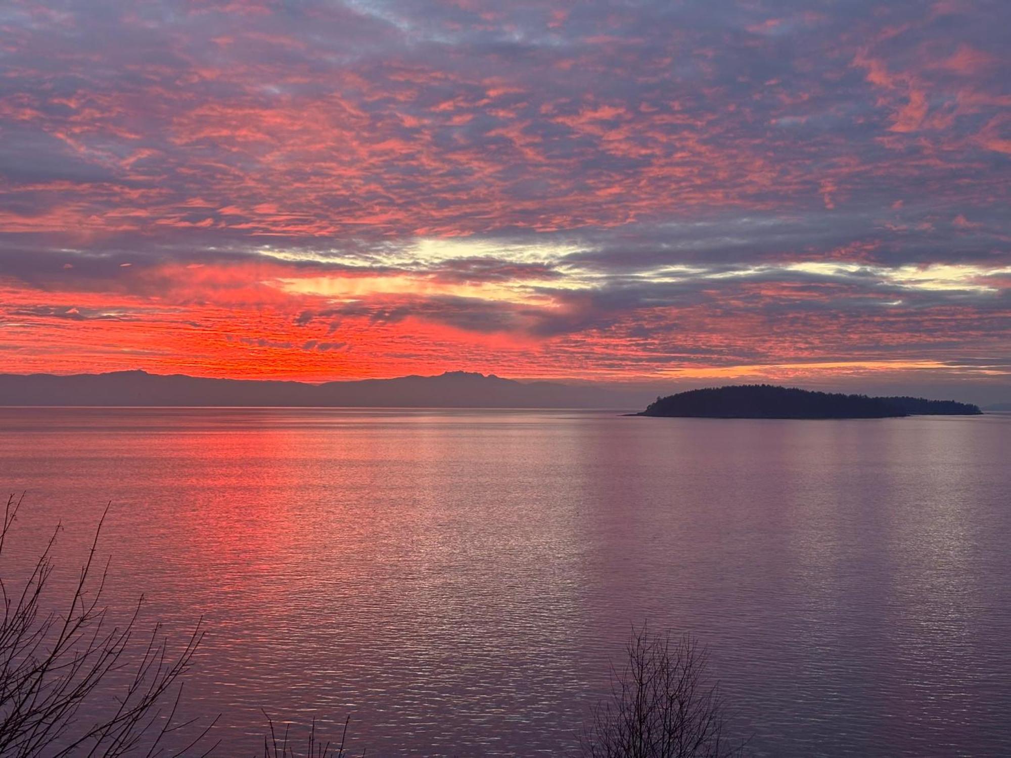 The Hideaway - Eagles * Sechelt